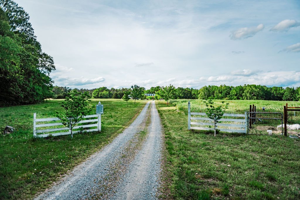 _DSC2628 Gravel driveway leading through a green landscape with white wooden fences and trees, under a partly cloudy sky, creating a serene rural scene.